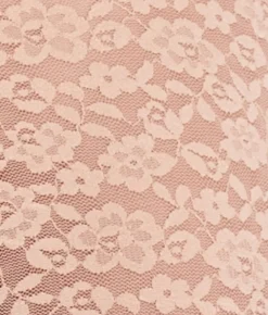 Allover Lace Bikini