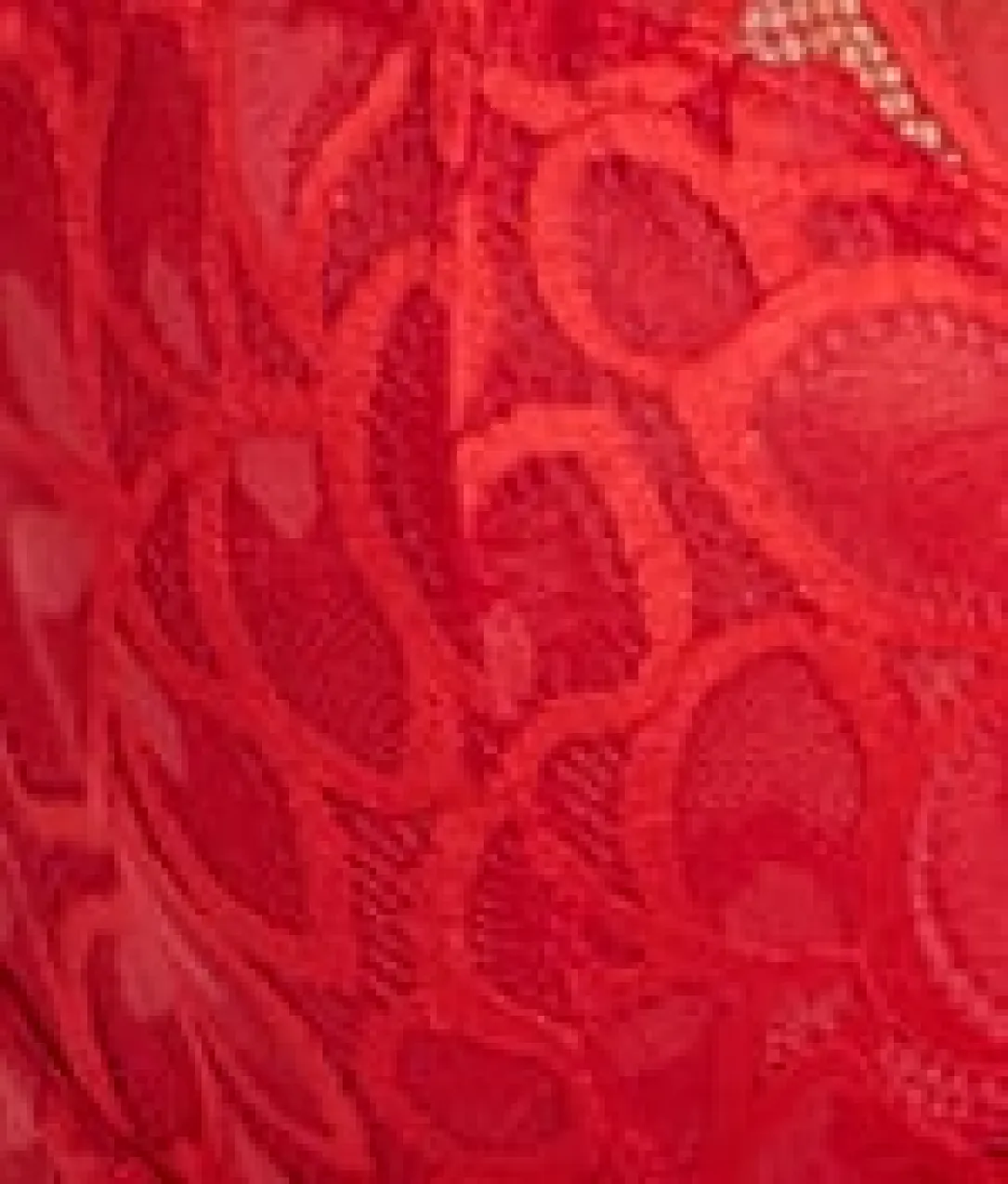 Allure Brief