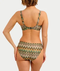Arizona Wave Plunge Bikini Top