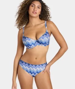 Arizona Wave Plunge Bikini Top