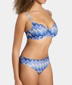 Arizona Wave Plunge Bikini Top