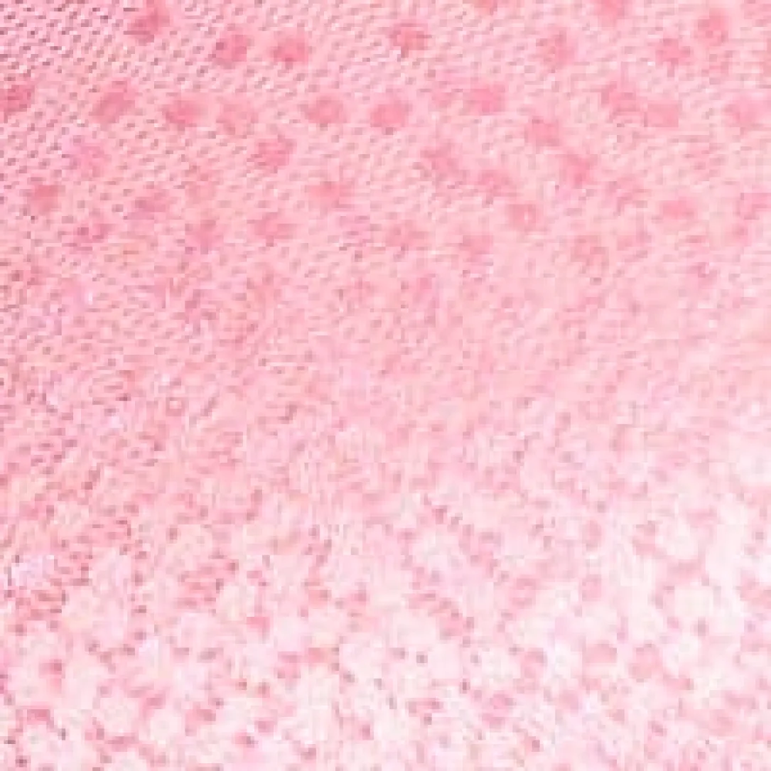 Back Appeal鈩?Seamless Bra