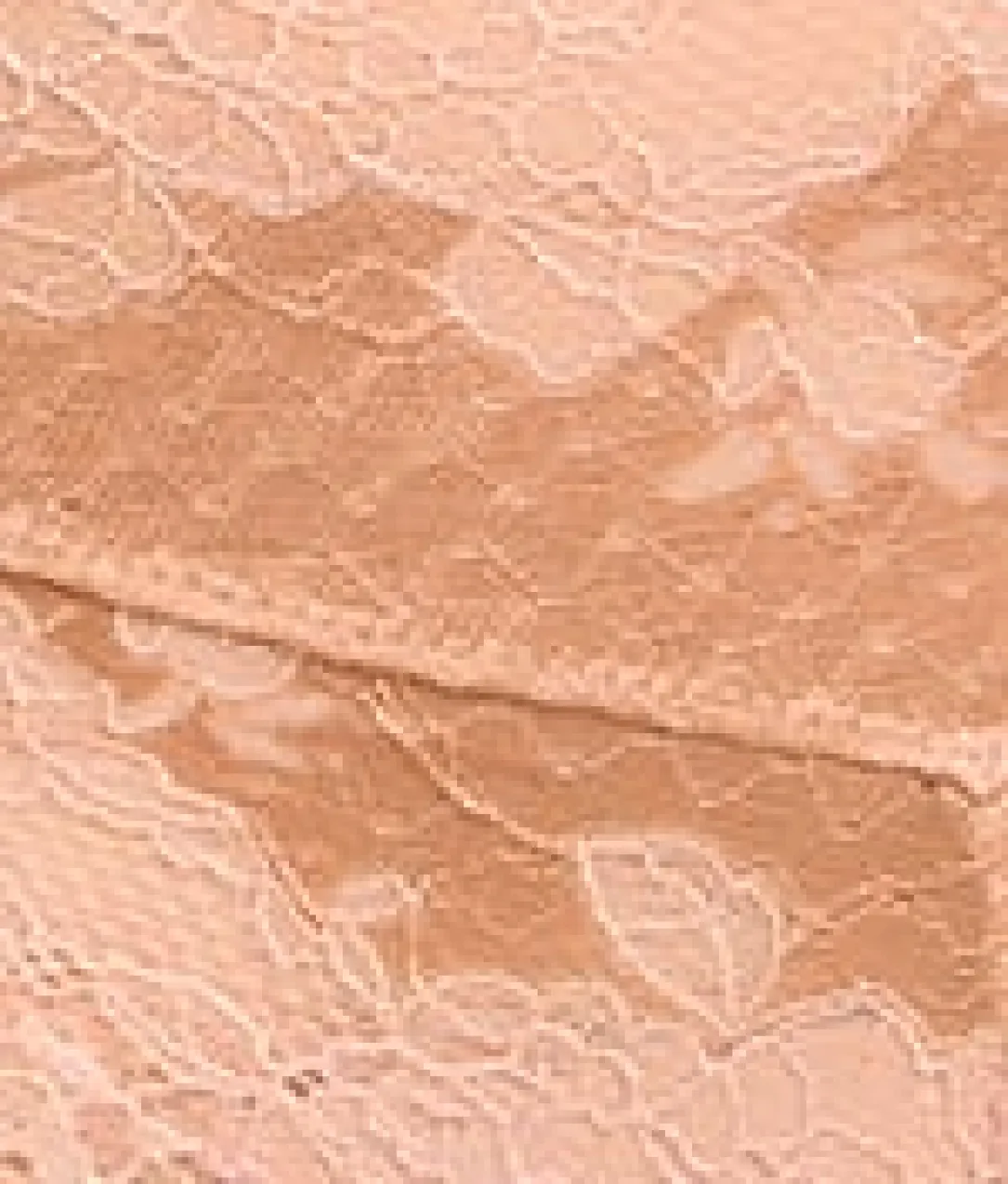 Clara Lace High-Waist Cheeky Brief