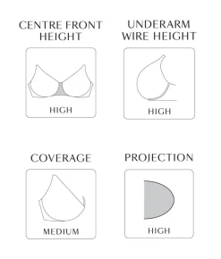Dana Ultimate Padded Strapless Bra