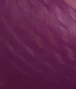 Elevated Allure Seamless Lift Bra