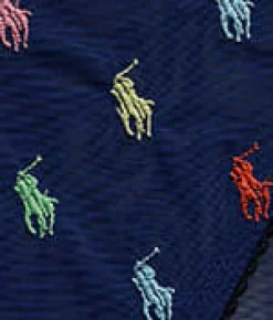 Embroidered Pony Mesh Bikini