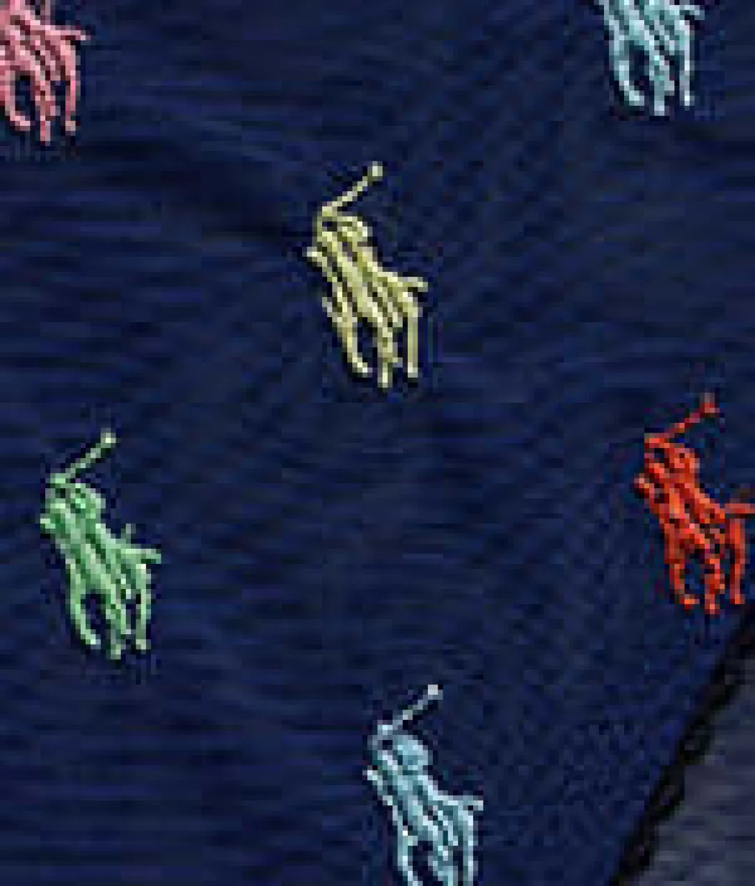 Embroidered Pony Mesh Bikini
