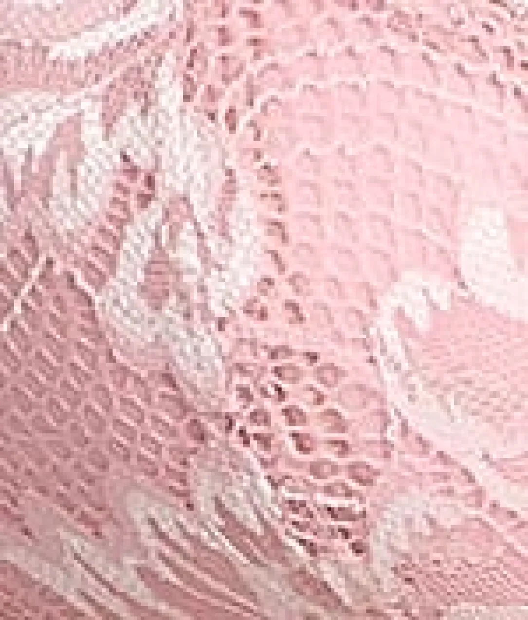 Emmaline Padded Plunge Bra