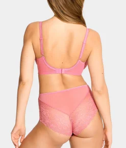 Envy Full Brief