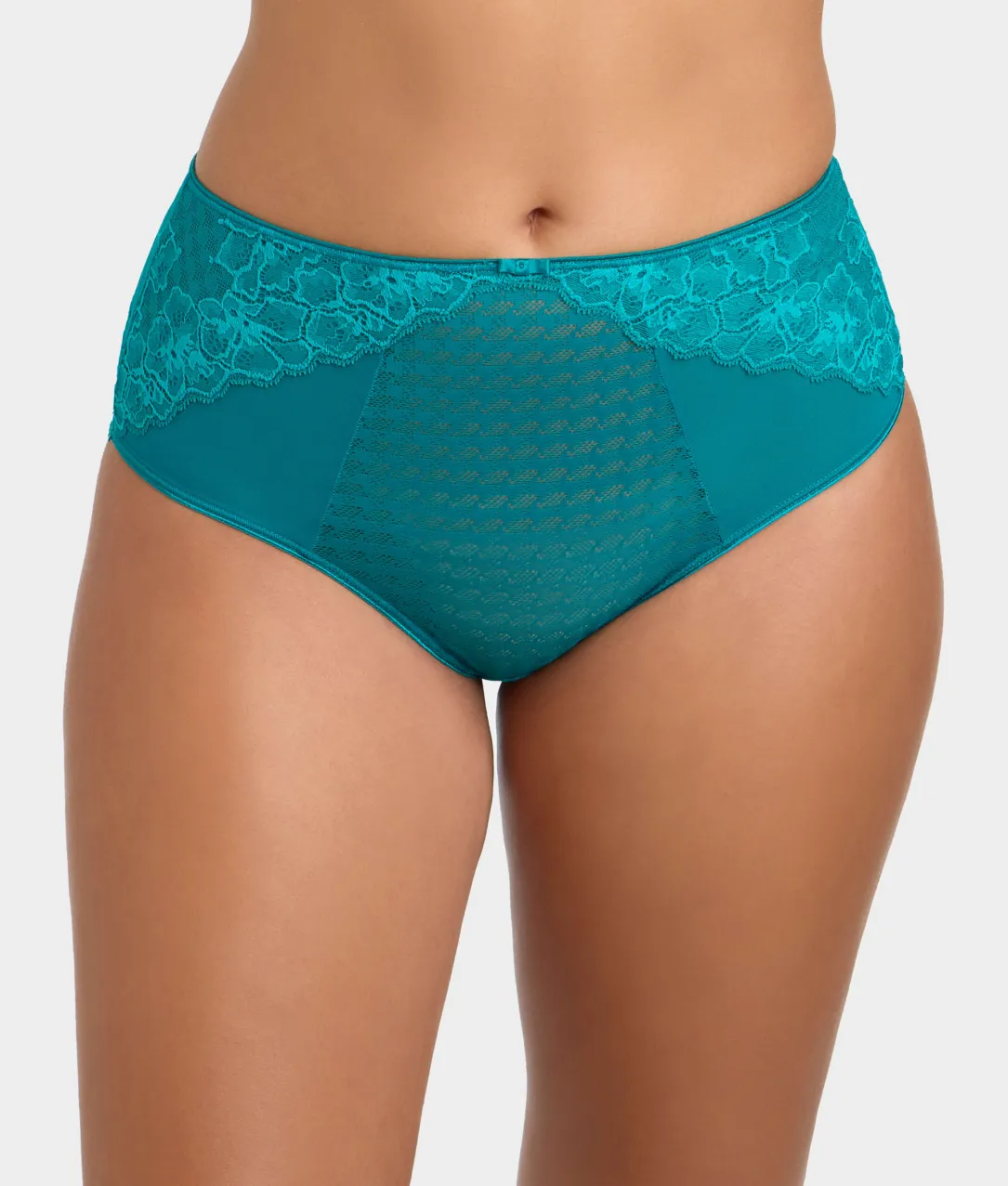 Envy Full Brief