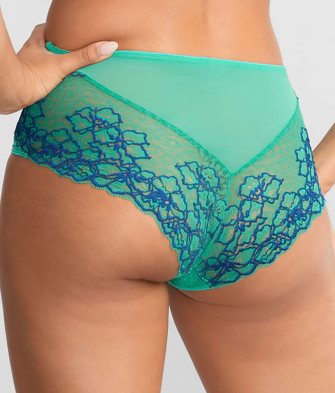 Envy Full Brief
