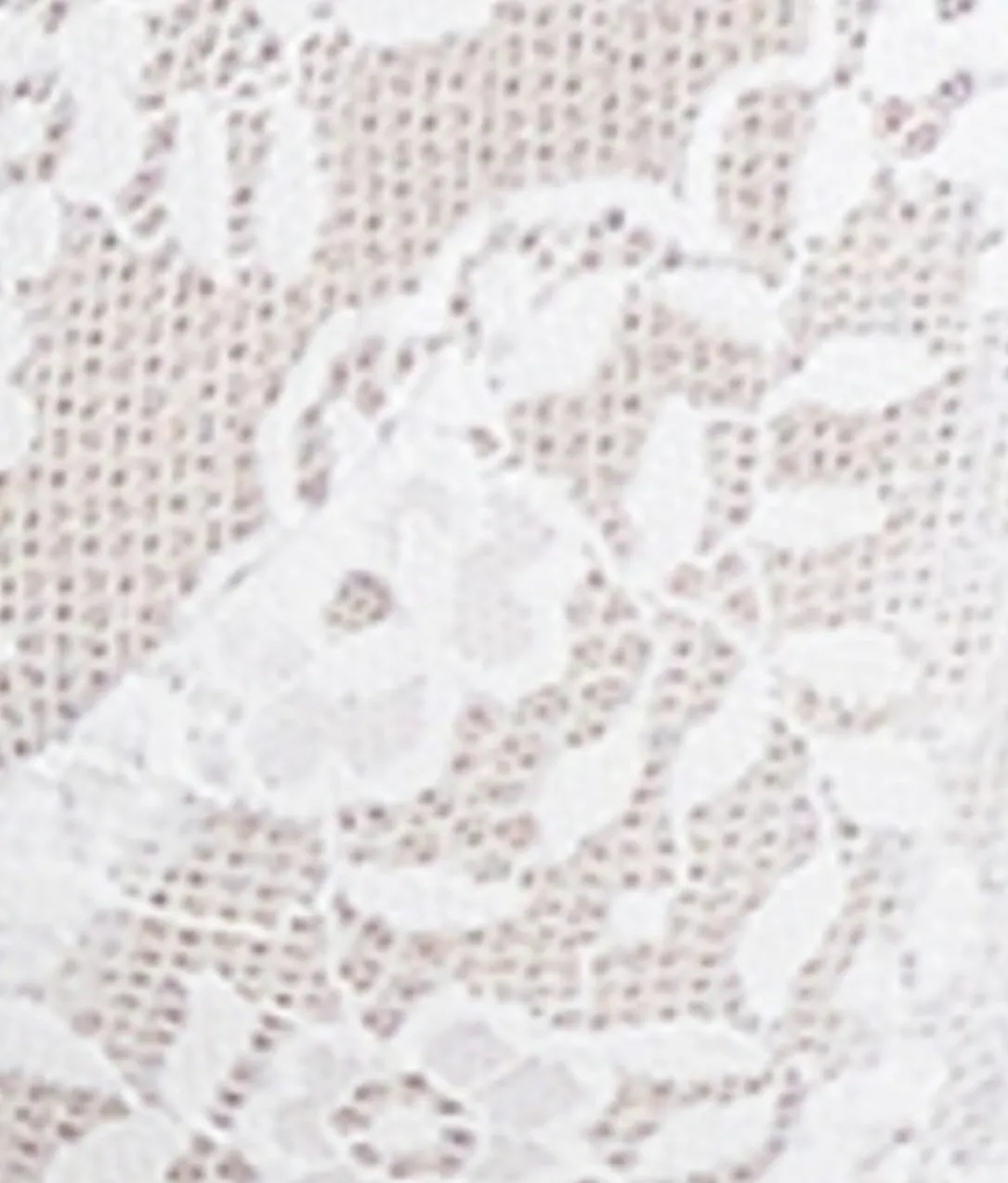 Everyday Essential Lace Unlined Demi Bra