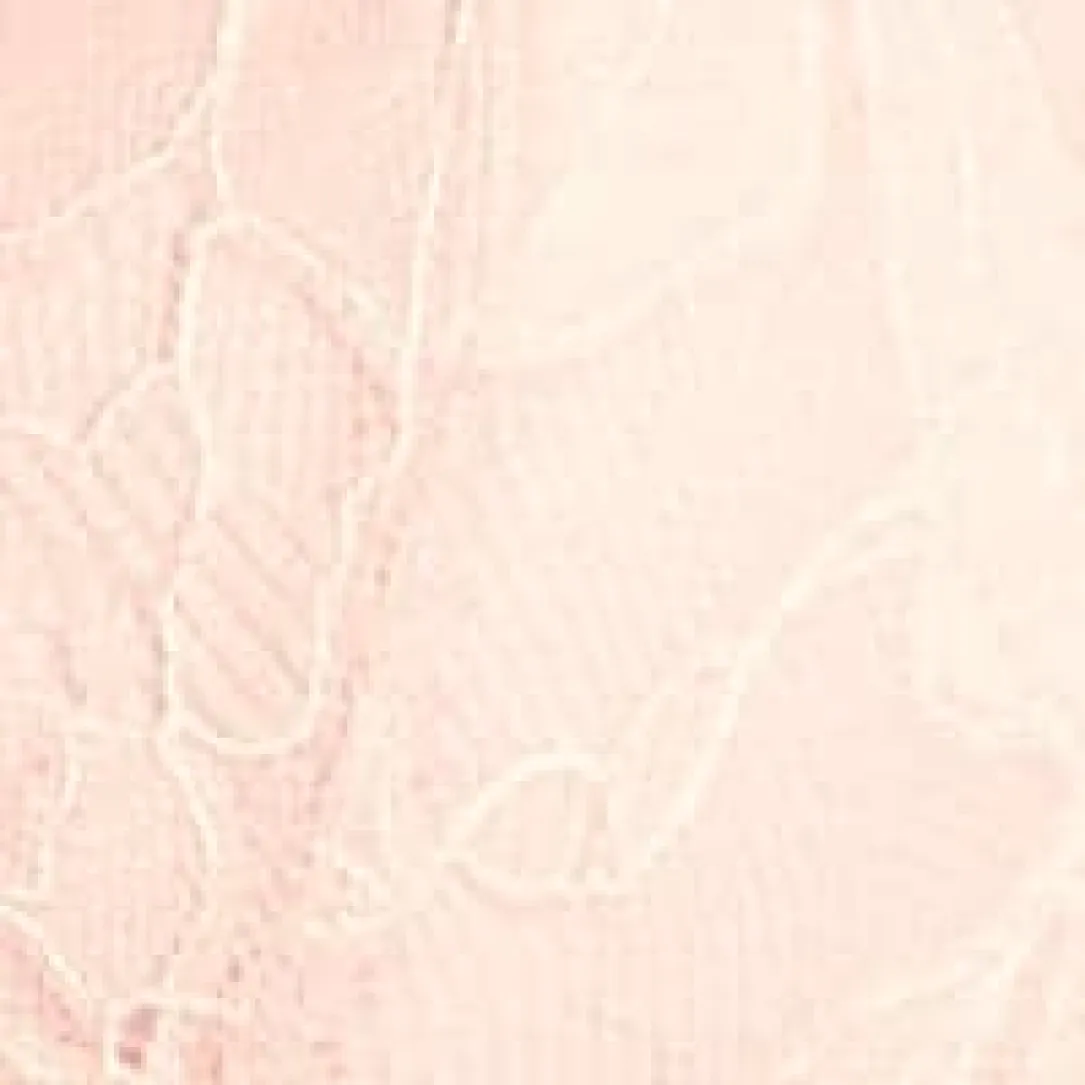 Feeling Famous Balconette Bra