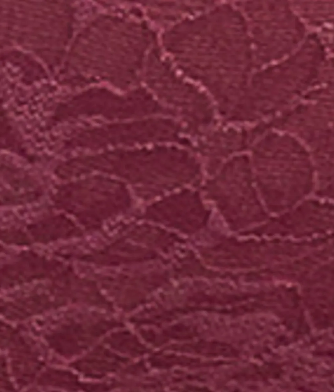 Fusion Lace Brief