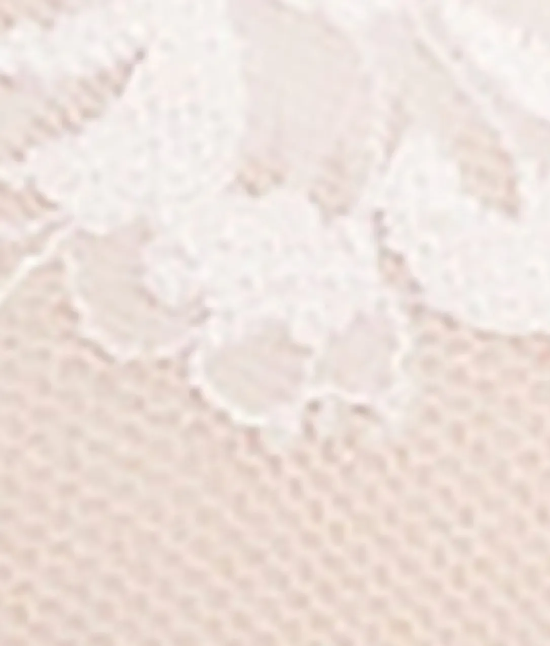 Fusion Lace Padded Plunge Bra