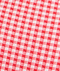 Gingham Olivia Underwire Balcony Bikini Top