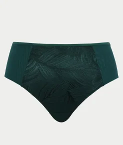 Illuminate Full Brief