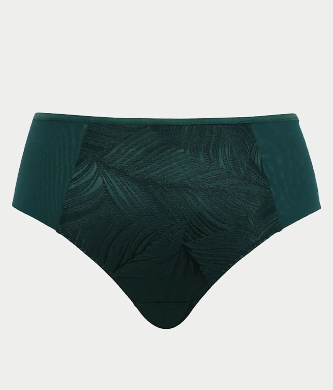 Illuminate Full Brief