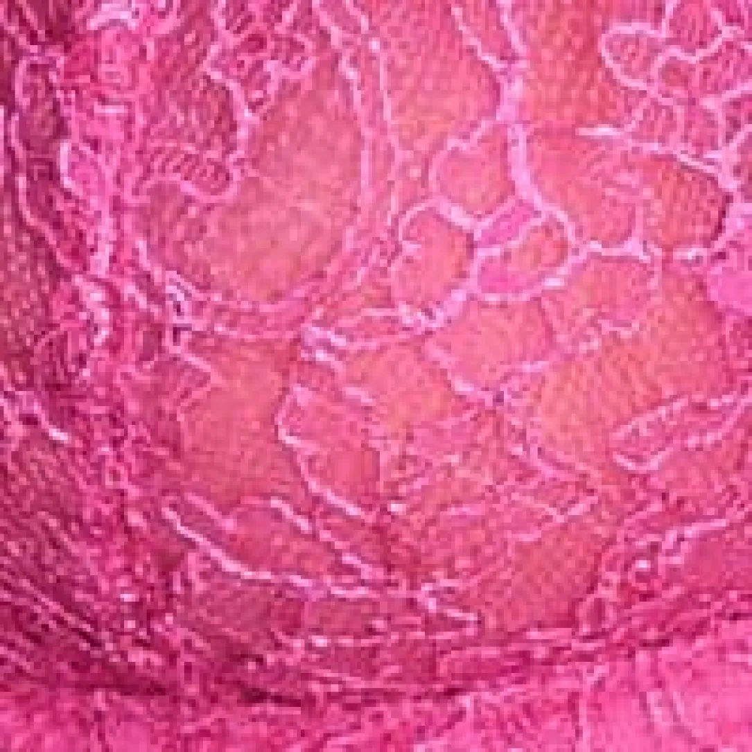 It's On Lace Bra