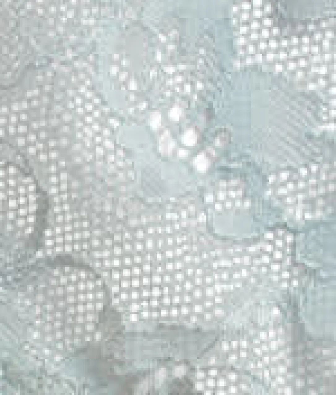 Lace Hipster
