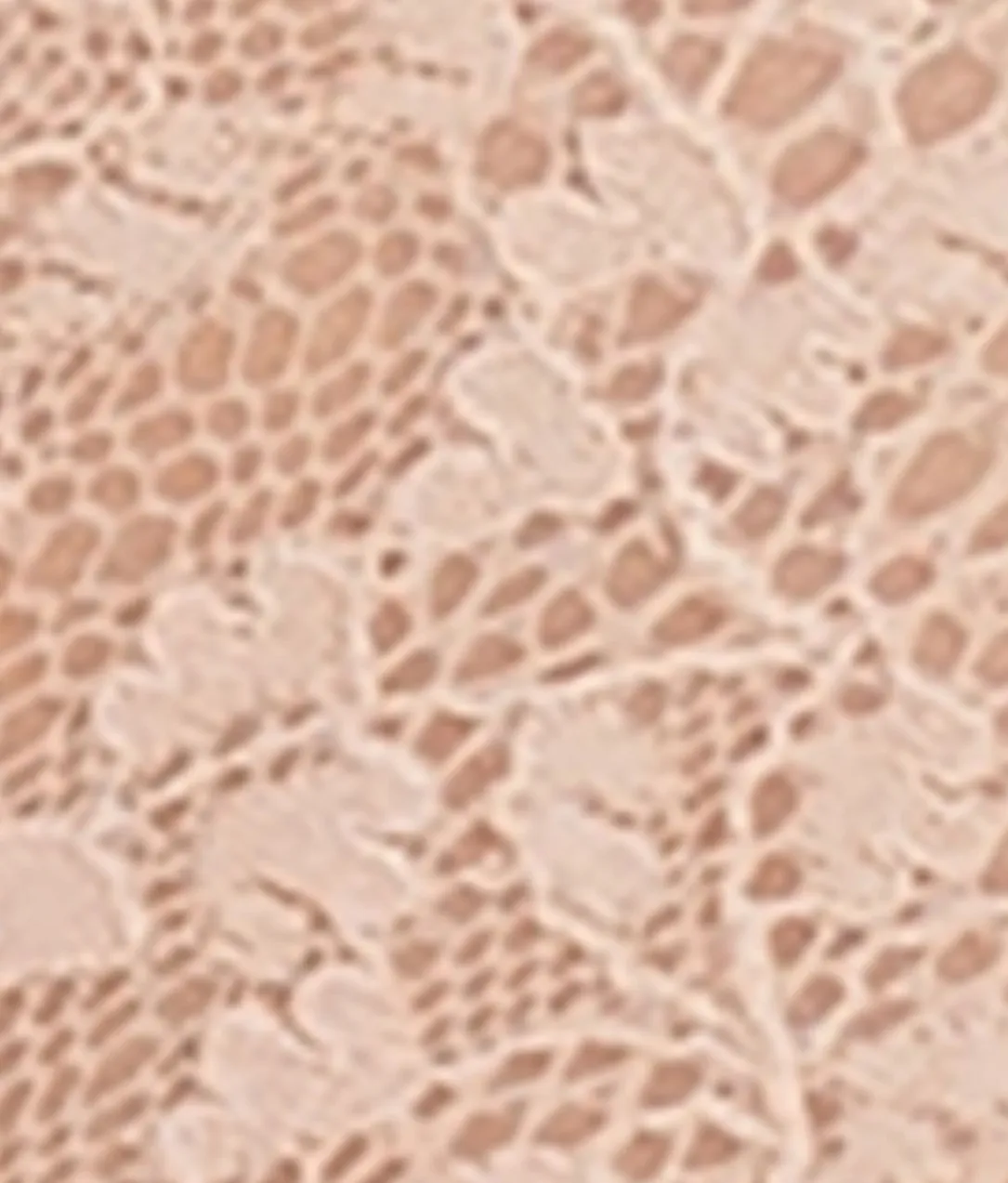 Lightly Lined Lace Plunge Bra