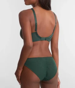 Loveland Brief