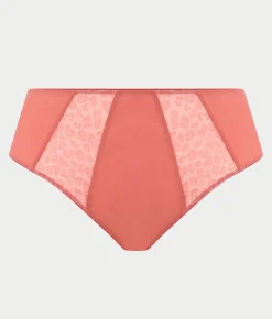 Matilda Full Brief