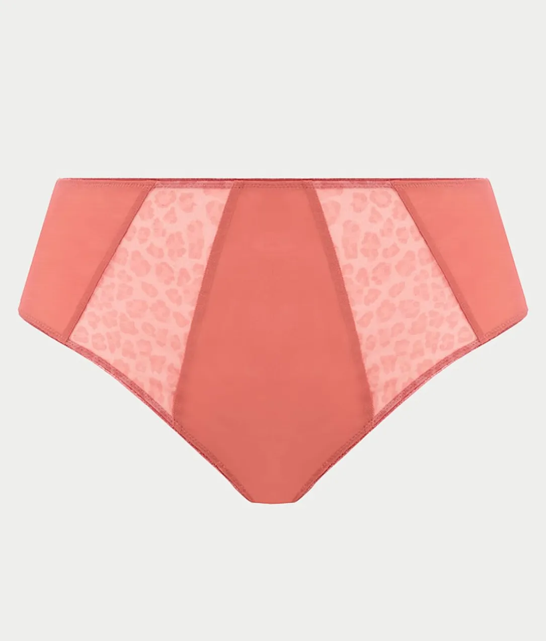 Matilda Full Brief