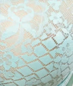 Melody Seamless Bra