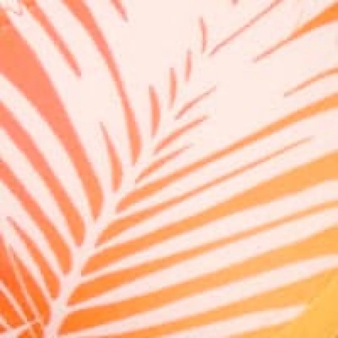 Miami Sunset Halter Bikini Top