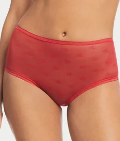 Monogram Sheer Modern Brief