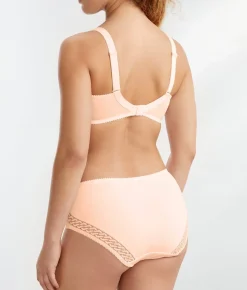 Montara Full Brief