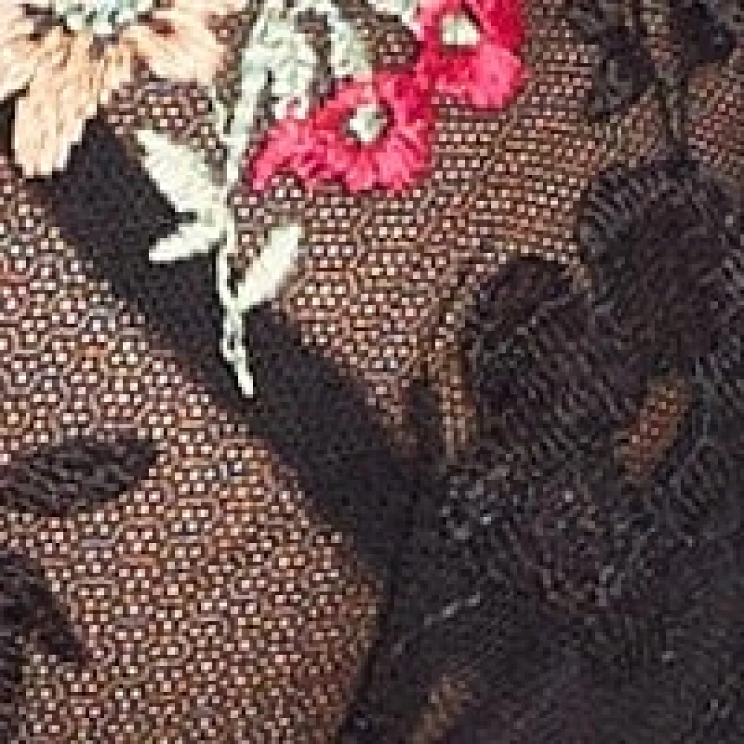 Ottilie Plunge Embroidered Lace Bra