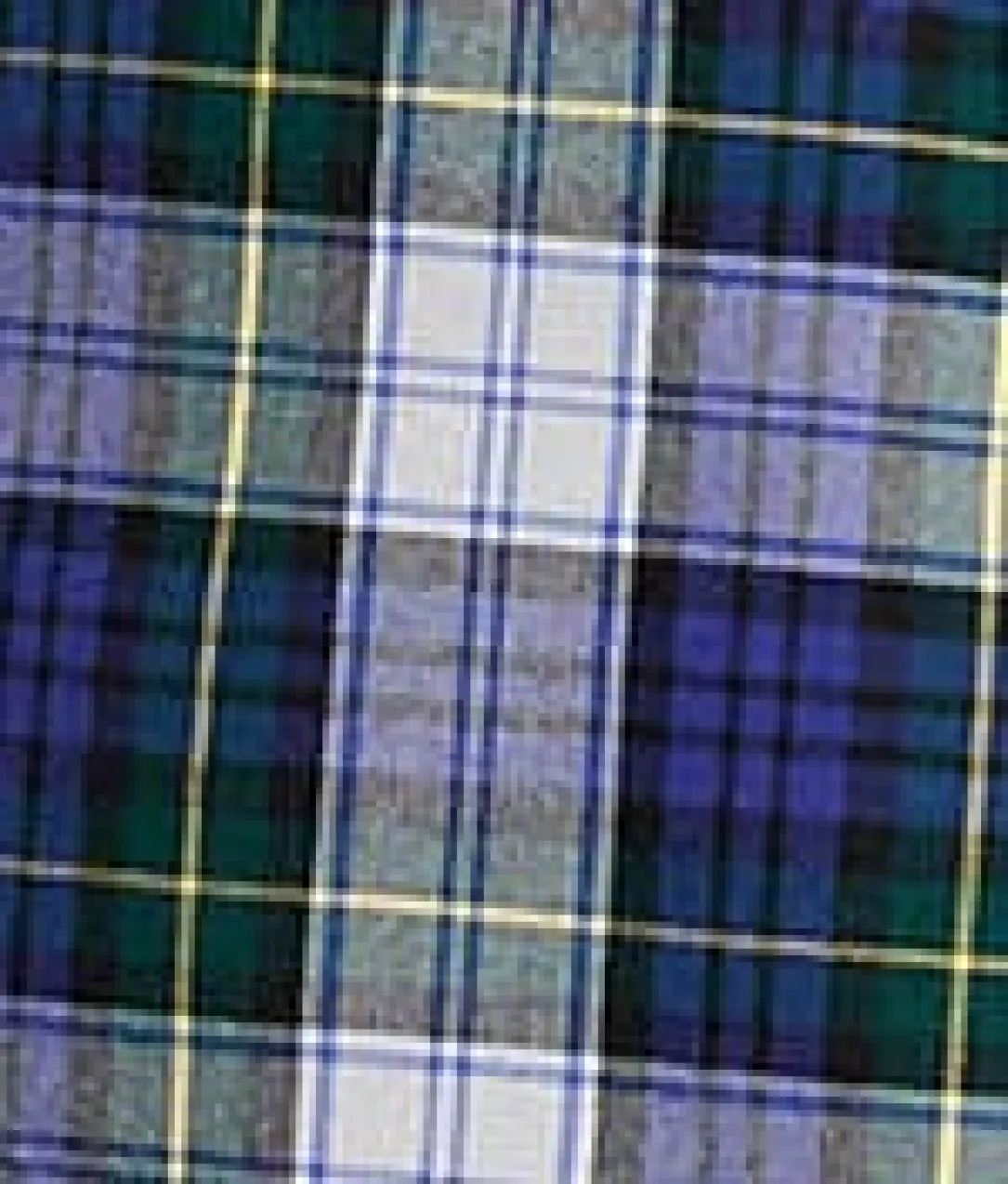 Plaid Woven Boxer
