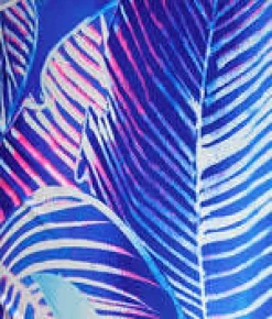 Plus Size Maluku Island Plunge Bikini Top