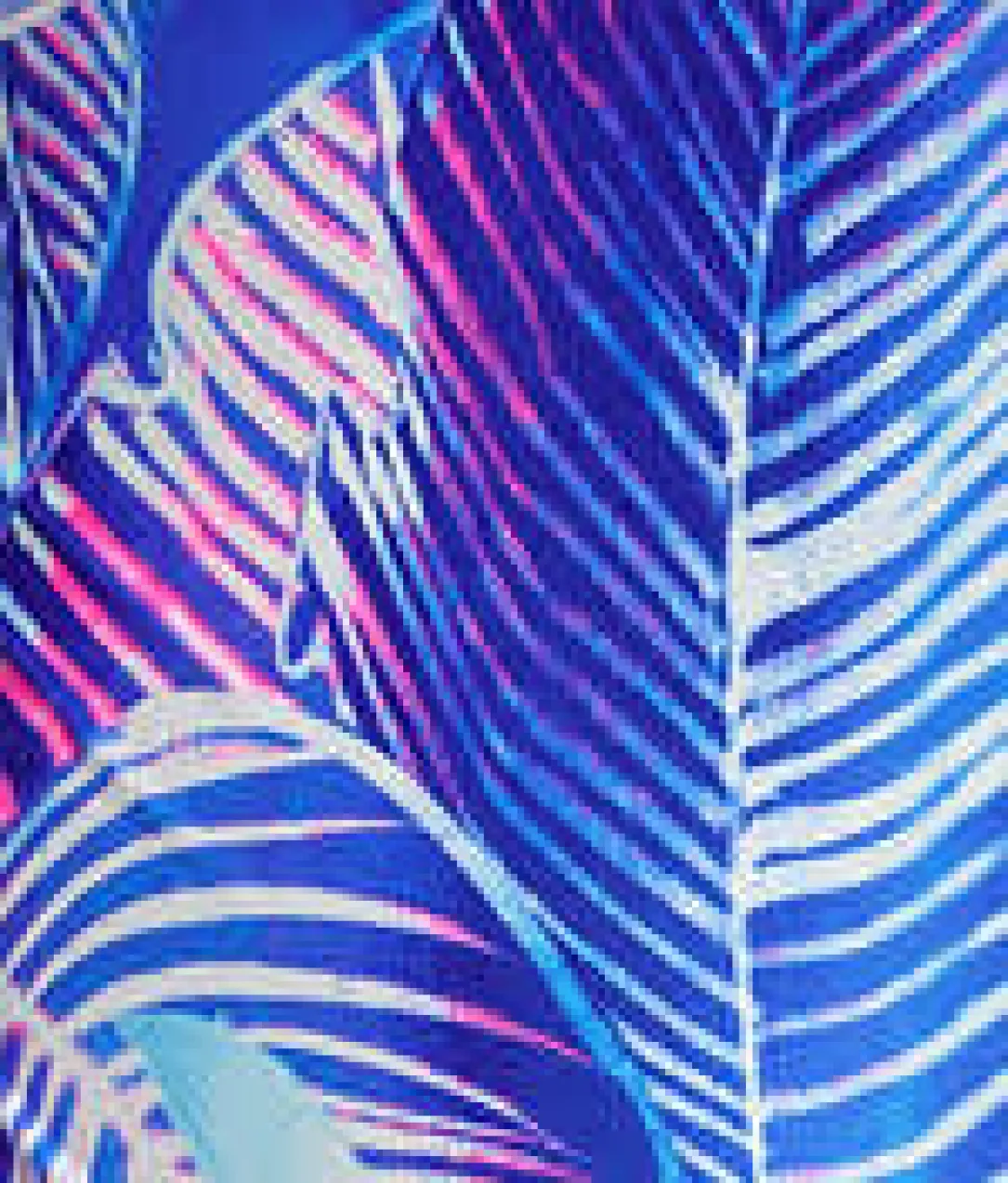 Plus Size Maluku Island Wire-Free One-Piece Swimsuit