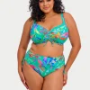 Plus Size Toyama Tides Bikini Top