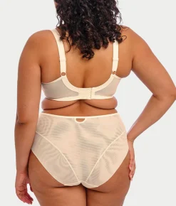 Priya Full Brief