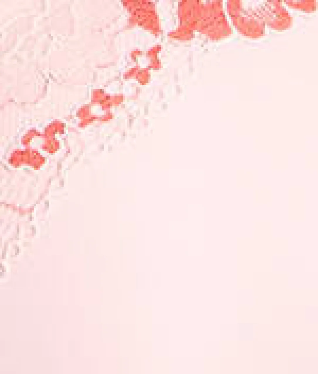 Push-Up Plunge Bra