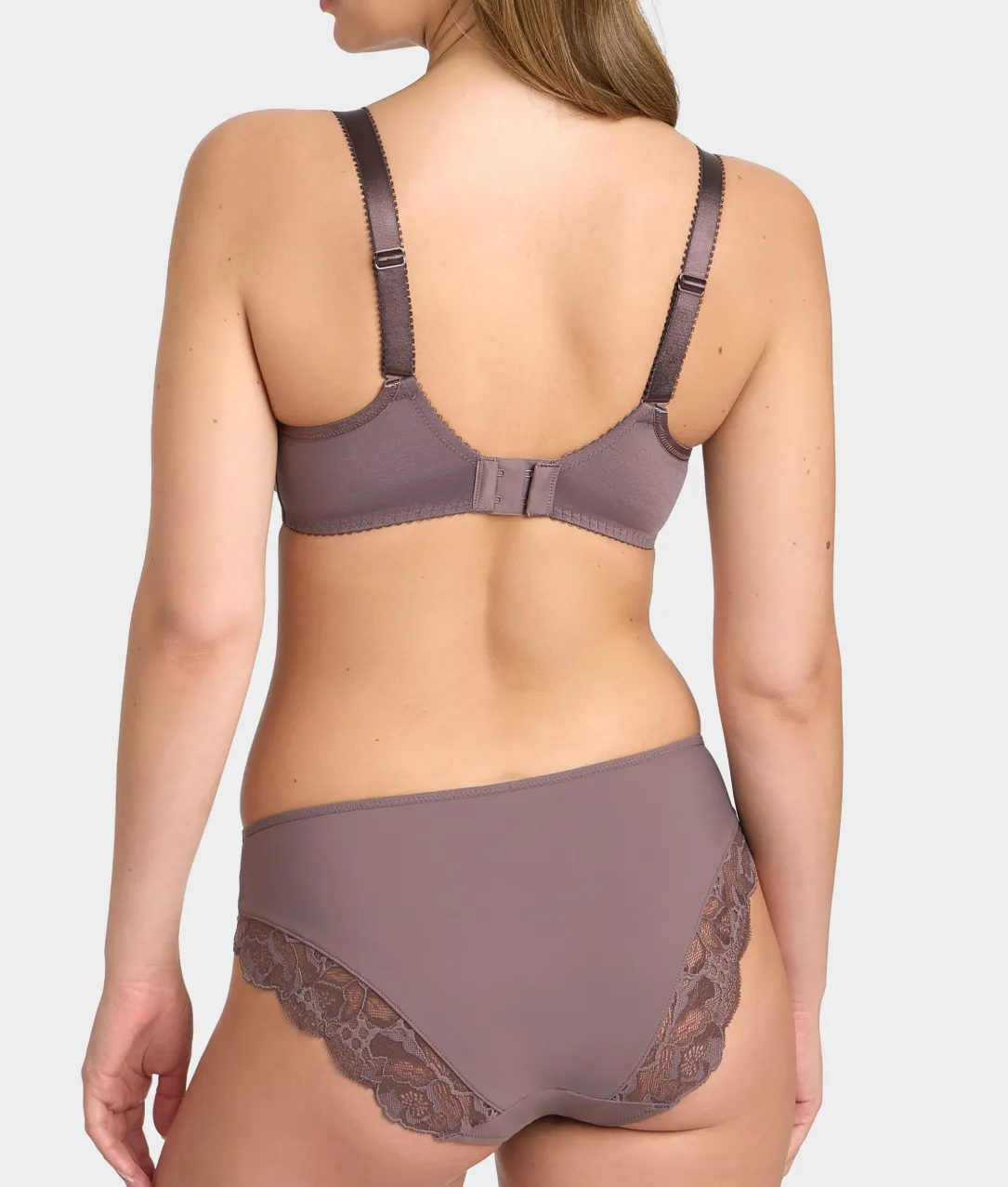 Reflect Brief