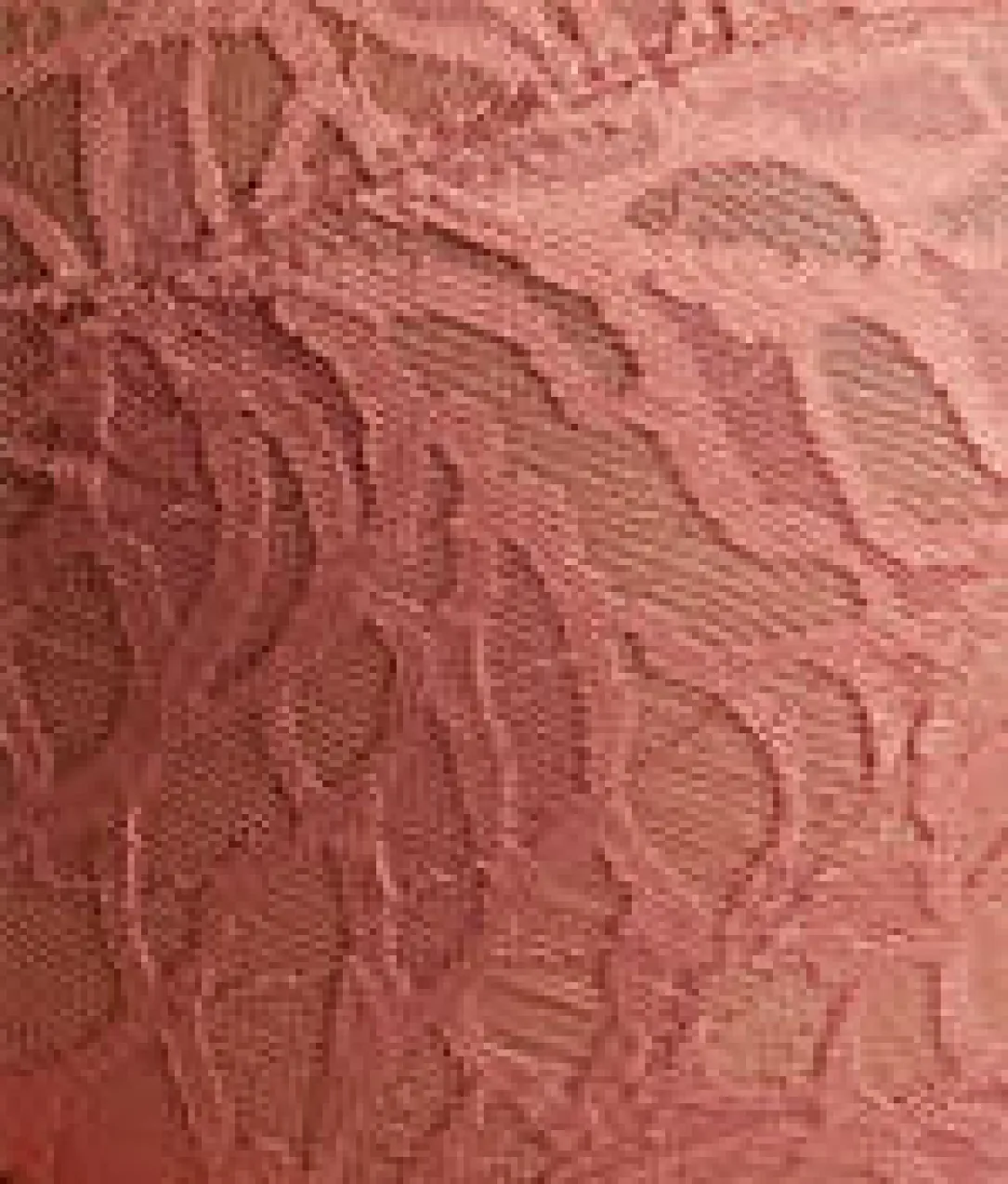Sophia Full Coverage Stretch Lace Bra