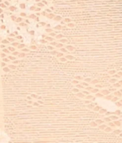Tayler Lace Strapless Backless Bra