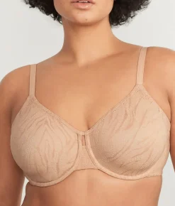The Absolute Minimizer Bra