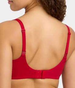The Absolute Minimizer Bra