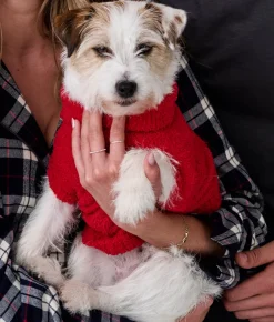 The Cozy Dog Sweater