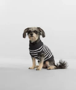 The Cozy Dog Sweater
