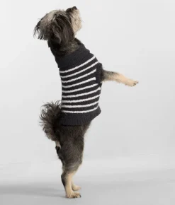 The Cozy Dog Sweater