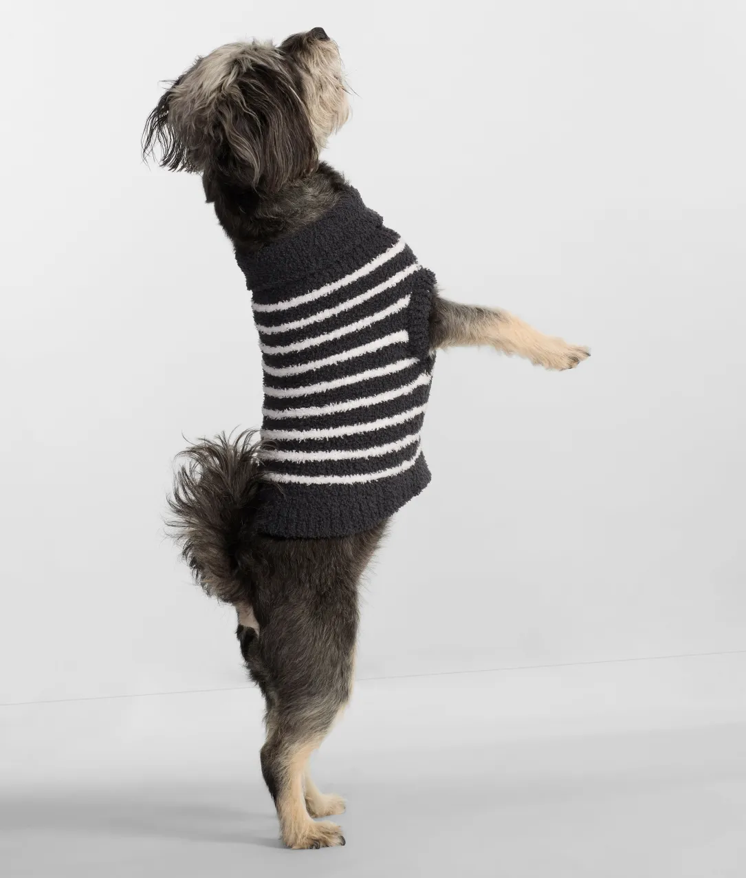 The Cozy Dog Sweater