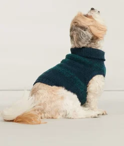 The Cozy Dog Sweater