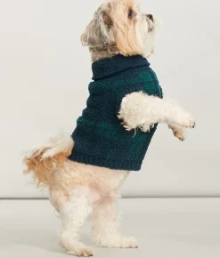 The Cozy Dog Sweater